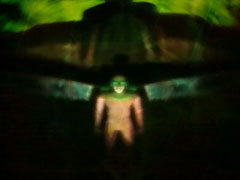 �w�G���A88�x