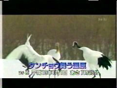 NHK�n�C�r�W�����̃��S