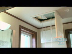 �g�D�G���r�̃��S