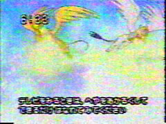 テレビ愛媛の視聴テロップ