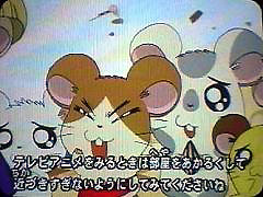 ���荑�ۃe���r�̎����e���b�v